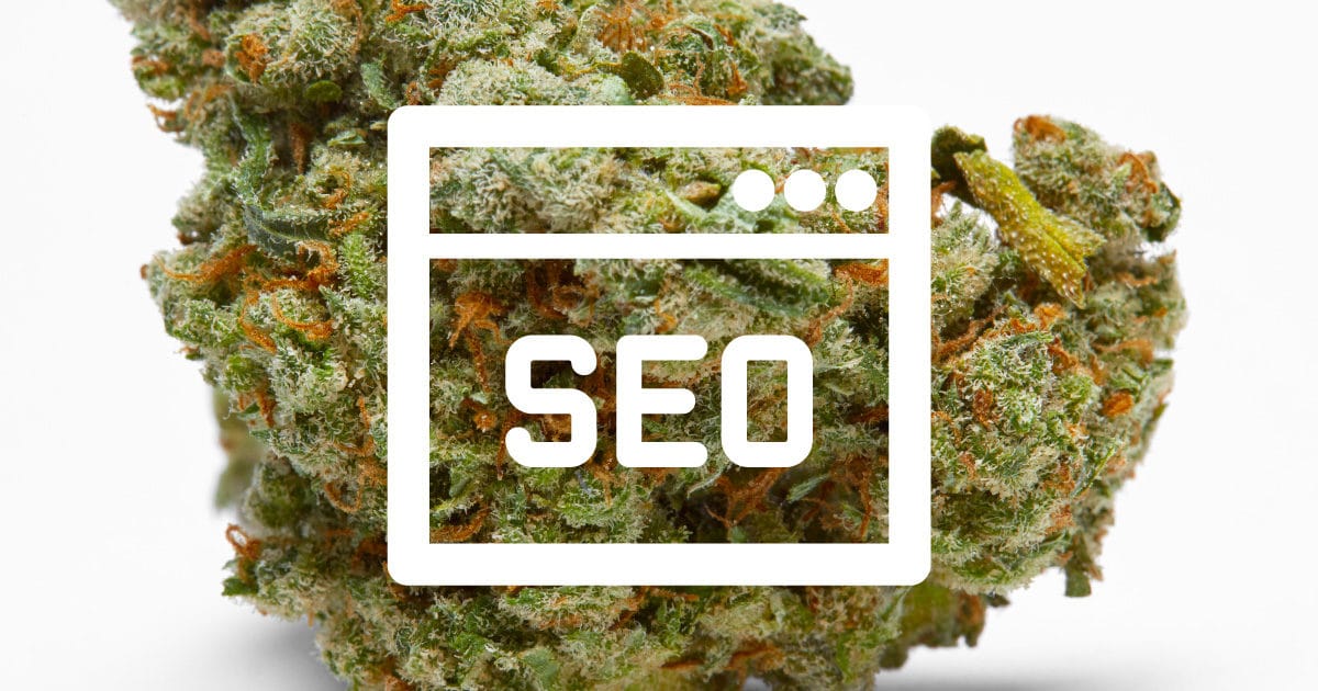 seo for cannabis companies by Search Geek Solutions