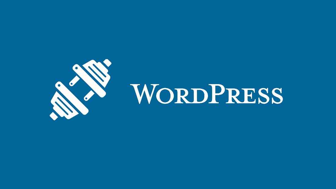 wordpress seo by search geek solutions