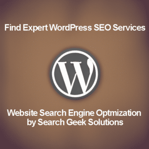 wordpress seo services by search geek solutions