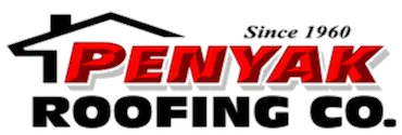 Penyak Roofing